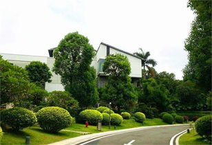 城市園林綠化發(fā)展機遇分析 投資前景看好