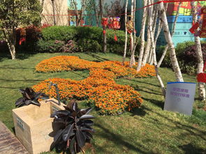 昆明綠化養(yǎng)護工程