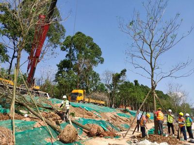 如何加強園林綠化工程施工現(xiàn)場的管理要點?