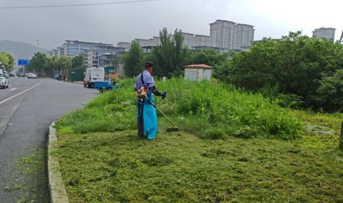 港溝綠化所 扎實做好夏季園林綠化養(yǎng)護工作