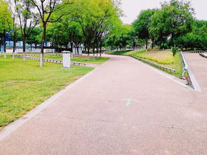 世園園林公司圓滿完成鐵人三項賽綠化保障工作